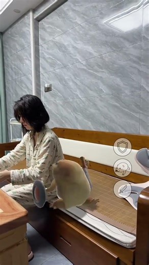 Hilarious Wife's Strict Control: My Life's Little Mishaps