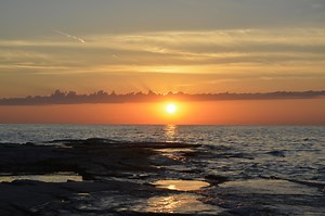 Free zoom background videos