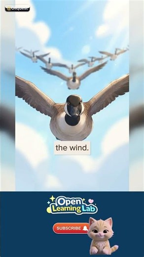 Why Do Animals Migrate or Hibernate? Seasonal Survival for Kids — The WHOA fact 🚀 #Shorts