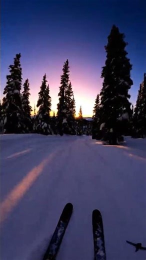 Skiing Into Darkness - Forest Trail Timelapse