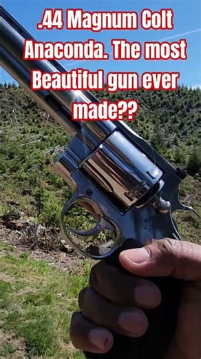 44 Magnum Colt Anaconda. The most Beautiful gun ever made??