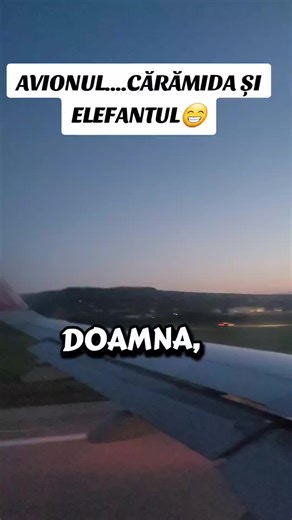 Avionul, Cărămida și Elefantul: O Conexiune Inedită