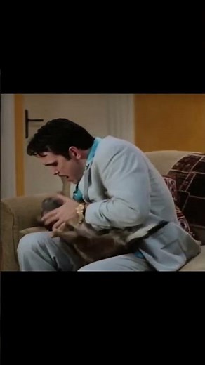 #Short extrait du film Mary à tout prix avec Ben Stiller, Cameron Diaz, Matt Dillon