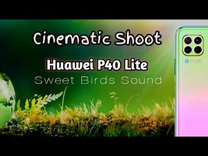 Huawei P40 lite camera Cinematic videography natural birds sound