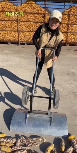 Wrong Way Scraper 😂 She Used It Upside Down! #Shorts