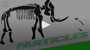 3K views · 57 reactions | About 25,000 years ago, ice age hunters in what is now Poland threw a light spear known as a javelin at a mammoth. Now, the discovery of that javelin has revealed a major surprise. For more on this story, click here  https://trib.al/IaVeqKb | LiveScience | Facebook