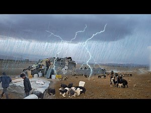 A Cold and Rainy Night in Nomadic Life | How We Saved the Newborn Lambs During the Storm