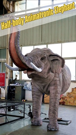 Gecai Culture on Instagram: "🐘 Our Half Body Animatronic Elephant Model delivers the grandeur of the world’s largest land animal in a compact, space-saving design. With realistic skin texture, natural movements, and lifelike sound effects, it’s an eye-catching attraction for both educational and entertainment venues. Key Features: ✅ Half-body design: perfect for exhibitions, entrances, and interactive displays ✅ Realistic movements: head turning, ear flapping, trunk swinging, and mouth opening