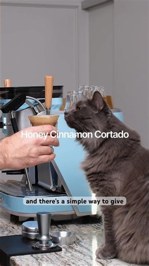 Fall Honey Cinnamon Cortado | The Most Delicious Fall Cortado Recipe #cortado #fallcoffee #coffee