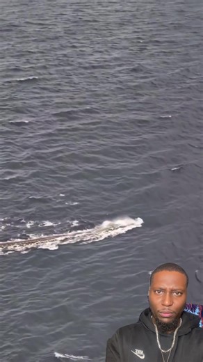 Giant Sea Serpent Spotted by Norwegian Fishermen