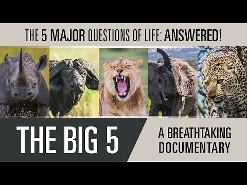 AFRICA Part 2 - The Big Five
