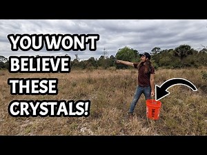You've NEVER SEEN Calcite Crystals Quite Like This! EPIC Florida Fossil Hunting and Rockhounding