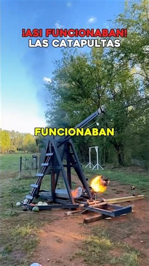 How do catapults work? ⚔️ #history #curiosities #viral #facts #fyp #youtubeshort