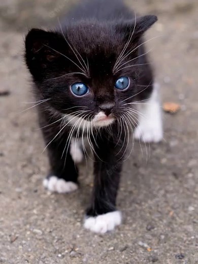 Videos de Nombres de juegos friv (@friv_juegos) con “Game Over (From