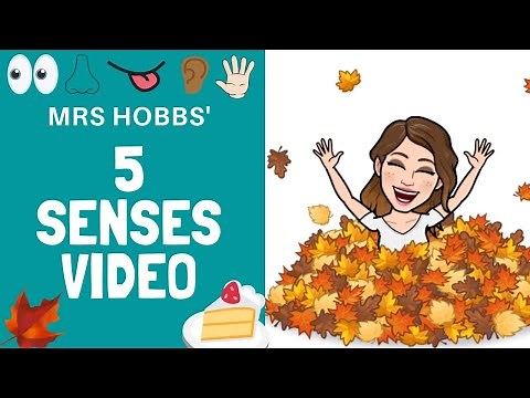 My 5 senses for kids | Autumn | Twinkl