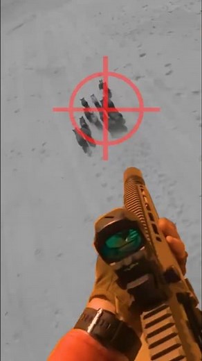 POV: Helicopter Hog Hunt #hunting #action #wildpig
