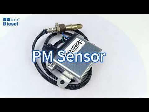 Auto Spare Parts New Diesel Particulate Matter PM Sensor 894A1EW061 for Hino Truck