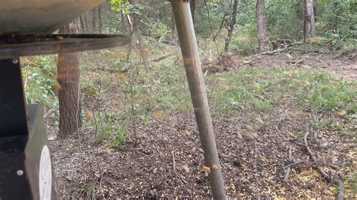 When you go off script talking to a client and your brain just ✨leaves the chat✨ | L2 Realty Inc