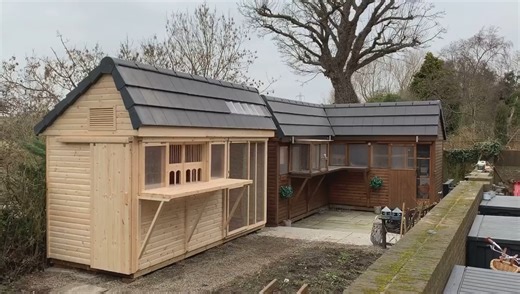 Simple loft design #loftdesign #pigeonloft | PigeonVibes