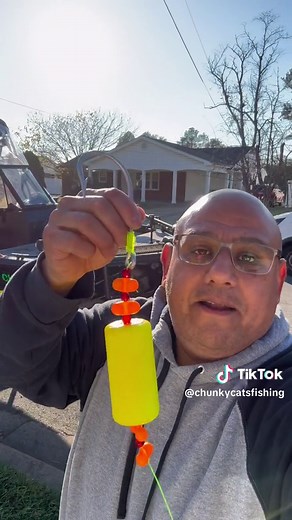 Big Sharks In The Potomac River!