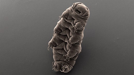 Design an Alien – Science Lesson | NASA JPL Education