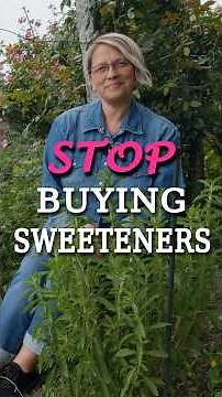 Stop Buying Sweeteners and Start Growing Stevia!