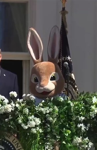 Easter Bunny is going GIGA viral and everyone on the comments are doing memes and trolling Trump!already 4m+ views in only 6 hours!all over the timelineit has own trending page too!giga narrative here hello??https://t.co/DXuBaSvvQq