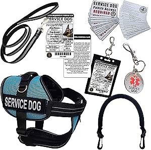 ActiveDogs Full Service Dog Kit - Large Aqua - Service Dog Vest Harness with Handle, ID, ID Holder, ADA Cards, Medical Alert Keychain, Leash & Patches