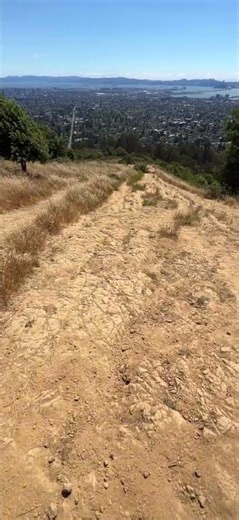 Berkeley Fire Trail Hike - Best East Bay Hike With a View