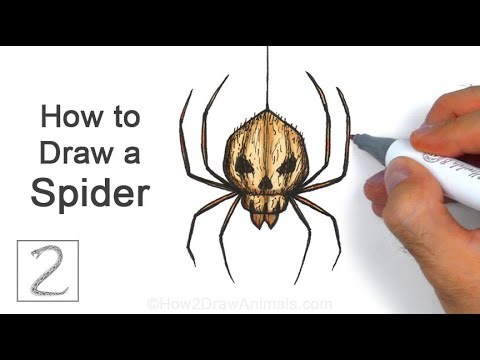 How to Draw a Spooky Spider for Halloween