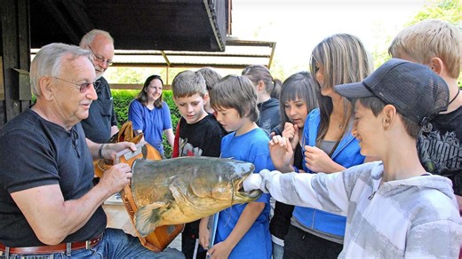 KRZ: 200 Jahre Berichterstattung – Als ein Riesenwels, eine Python und eine Kuh für Aufsehen sorgten