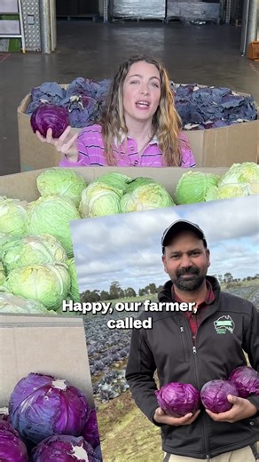Farmers Pick on Instagram: "🚨 RUN, DON’T WALK 🚨⁠ ⁠ We’ve just rescued 6,000 red cabbages from going to waste and they’re landing in your box! ⁠ ⁠ The cold early mornings left their outer leaves looking a bit rough, which meant supermarkets didn't want them. Some of the red cabbage are in different shapes and sizes too! Well, because nature doesn’t grow in “perfect” circles. When our farmer, Happy, gave our produce team a call, we couldn’t say no.⁠ ⁠ We peeled back the damaged leaves and found