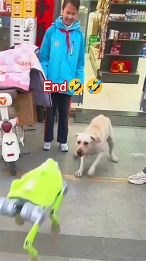 Robot vs dog fighting #funny #shortsfeed #shorts