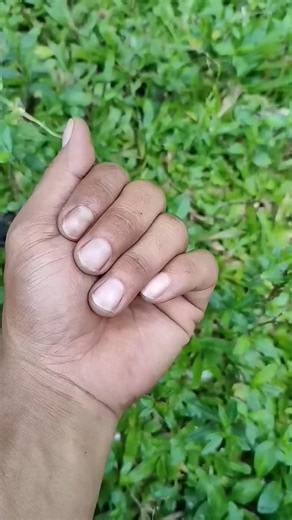 Cut from @ANYUNIQUEANIMALSShareSURVIVAL SKILLS: hand is craping #funny