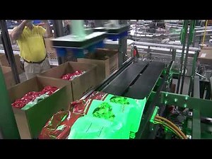 BluePrint Automation (BPA) Secondary Packaging Solutions