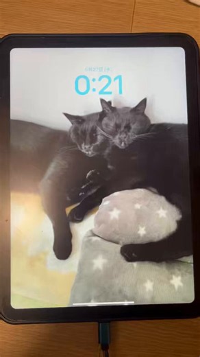iPadが勝手に電源切れて勝手に再起動する現象治し方分かる方いますか😭再起動する間もなく切れます（充電器外したら電源は落ちて再起動はしません）
