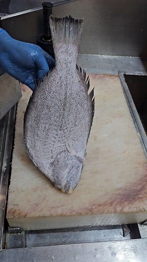 Professional Halibut Sole Fish Cutting Skill #reelsvideo #facebook #follower #seafood #trending #short #Amazing #viral #fb #reels | SH Fresh & Fish