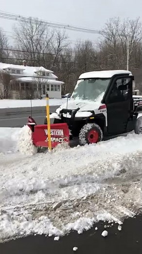 Bobcat 3400 with Western Plow