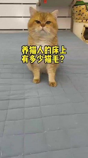 寵物生活館 on TikTok