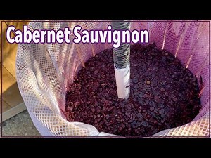 🍷Red Wine - How I Made Wine at Home from Grapes 🍇 👍