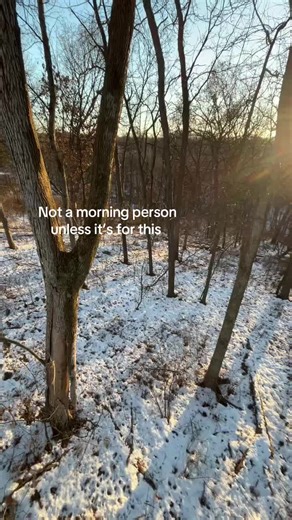 #wisconsin #2025 #bowhunting #mathewsarchery