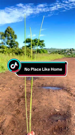 Eshowe, eMbongolwane #Eshowe #kzntiktok #homesweethome #nature