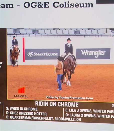 Congratulations 🎉 Ridin On Chrome and Lila Owens ! AQHA World Show 4th ⚪️ L2 Amateur Equitation with a super pattern 🤌! Patton is a 2019 AQHA/APHA geld by WHEN IN CHROME x Shez Dressed Hotter. #AQHAWORLDSHOW #wic2019 #chromedup #wheninchrome #WIC #showhorse #horseshow #horsebreeder #rosenfeldtqh #aqha #apha #simonsshowhorses | Paige Quarterman
