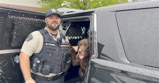 Meet K-9 Grizz: Eagle Police Department welcomes new chocolate lab to help keep drugs off the streets