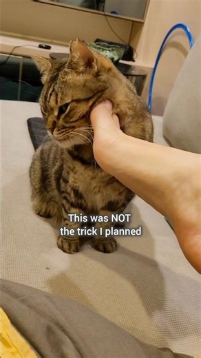 This was NOT the trick I planned 👀😳