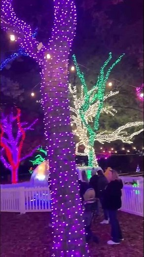Christmas lights display at Dallas Zoo