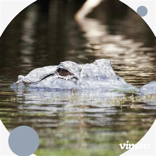 3.9K views | Ready for an unforgettable adventure? Join us on a...