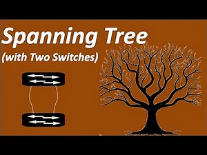 Spanning Tree Algorithm (With Two switches)