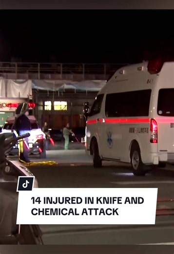 Knife and Chemical Attack Injures 14 at Japanese Factory
