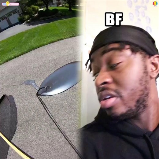 Being a parrot owner • follow me on Instagram- folksloveak #fyp #viral #xyzbca